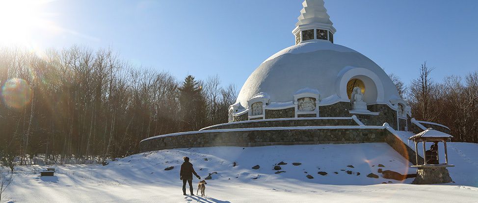 Winter in Albany: A Non-Skiiers Survival Guide