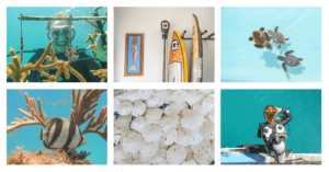 Wander Women Wednesdays: Announcing Our Sustainability Dive + Yoga Retreat in Key Largo