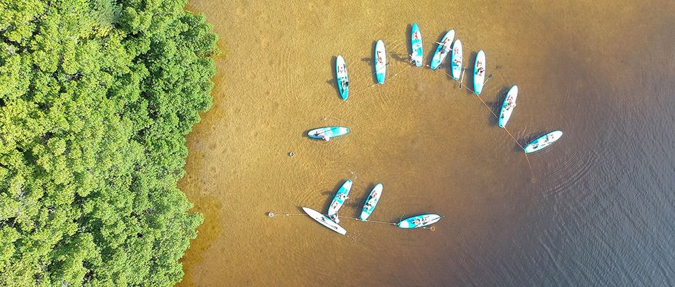 Wander Women St. Pete Recap Part II: Stand Up Paddle to Paradise