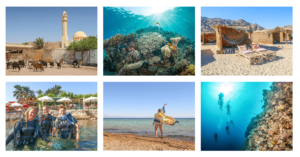Announcing Wander Women Red Sea: A Dive + Yoga Retreat