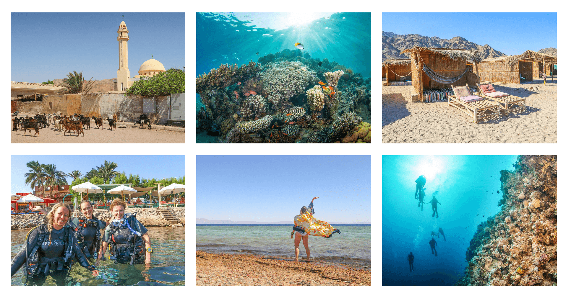 Announcing Wander Women Red Sea: A Dive + Yoga Retreat