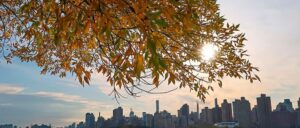 Embracing Autumn in the Empire State