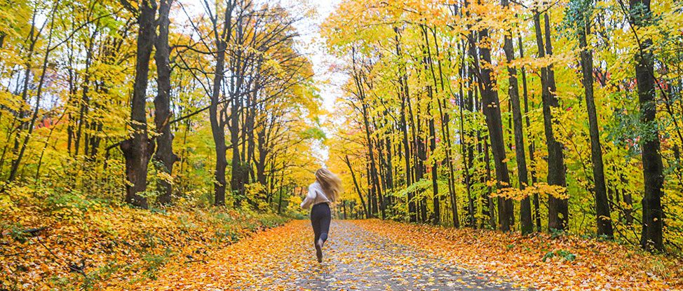 The Magic of The Finger Lakes in The Fall
